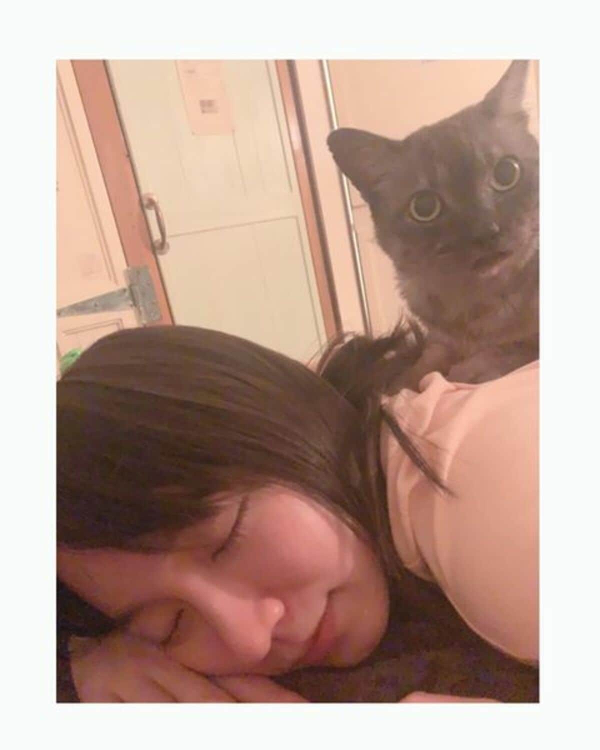 吉岡里帆、背中に猫を乗せて眠る姿に「反則級のコラボです！」とファン
