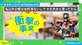 開業前の料理店に2カ月通った“ご当地ヒーロー”が話題 キタキュウマン「今メニュー表の日本語訳手伝ってる」