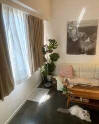 遠野なぎこ『『“我が家のリビング初公開(^_−)−☆”』』