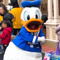 堀ちえみ『3大マウンテン制覇したかったけれど』