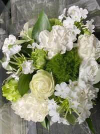 戸田恵子『さいきょうのまもりがみ！』