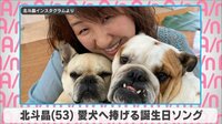 北斗晶 愛犬へ捧げる誕生日ソング