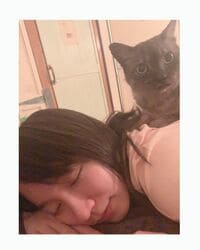吉岡里帆、背中に猫を乗せて眠る姿に「反則級のコラボです！」とファン悶絶