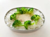 hitomi『シチュー弁当』