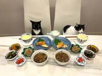 藤あや子『おうちごはん』