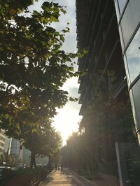 土屋太鳳『宝物のいる場所。』