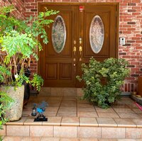 堀ちえみ『予知夢というものがあるとすれば』