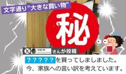 「マイホームが電車になっていく…」“大きな買い物”に父はあきれ顔!? 執念の鉄道部屋作りに「完成度に持っていくしかない」と反響
