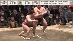 嫌な角度に曲がる腕に「うあああ痛そ」「力士生命が終わるところだった」とファン悲鳴 小兵力士極められた左腕に騒然