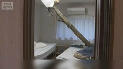 GW天気大荒れ　自宅に大木突き刺さる　強風でフェス中止　東京湾アクアライン通行止め
