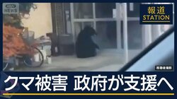 猟友会ハンター襲われる事態も…広がる“クマ被害”政府が支援へ