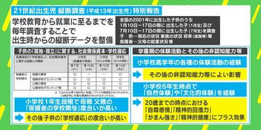 21世紀成年者縦断調査（平成24年成年者） 国民の生活