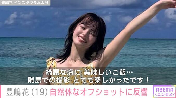 豊嶋花