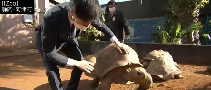 動物園で飼われるのは「かわいそう」? 札幌市で制定された“動物の福祉”条例から考える 7枚目