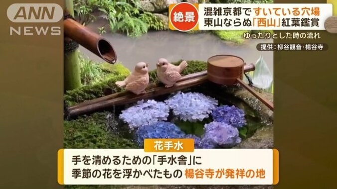 季節の花を浮かべた「花手水」