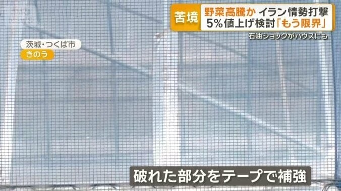 破れた部分をテープで補強