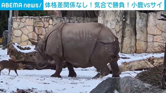 ポーランド・ヴロツワフ動物園