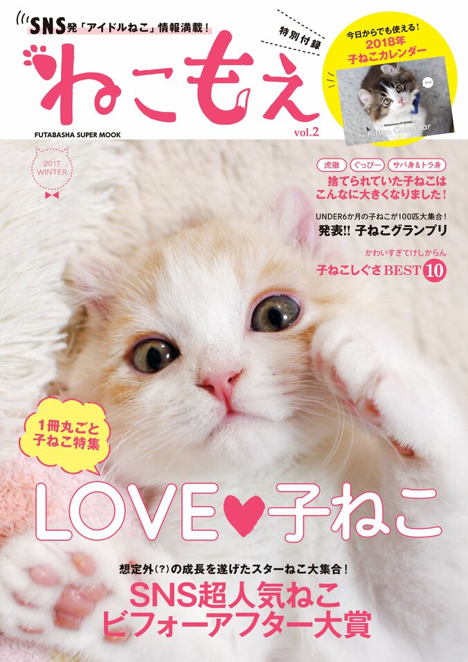 「アイドルねこ」情報が満載のムック『ねこもえ』第２弾が発売 3枚目