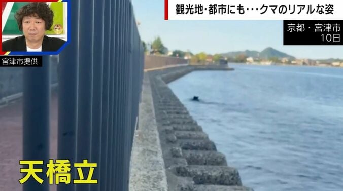 京都・宮津市 10日