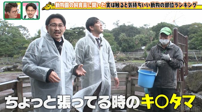 オズワルド伊藤、40分遅刻で雨の動物園ロケ「仕事した感じがしない」と不完全燃焼 7枚目