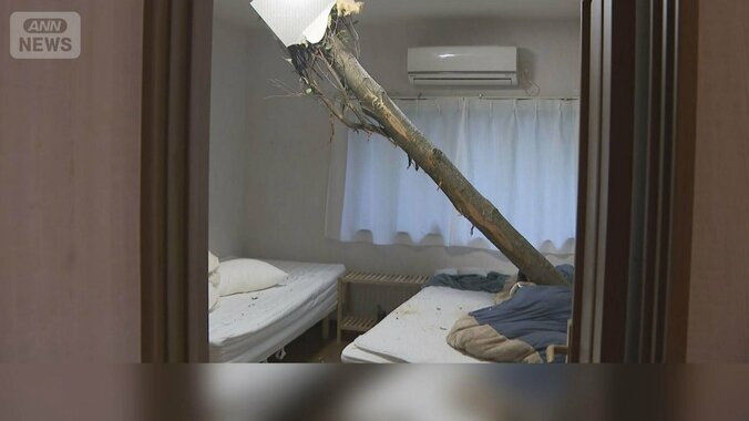 GW天気大荒れ　自宅に大木突き刺さる　強風でフェス中止　東京湾アクアライン通行止め 1枚目