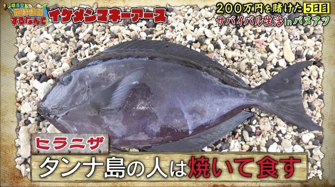 『西郷どん』出演のイケメン“昭和系男子”が活躍！  貴重な魚ゲットに満面笑顔 7枚目