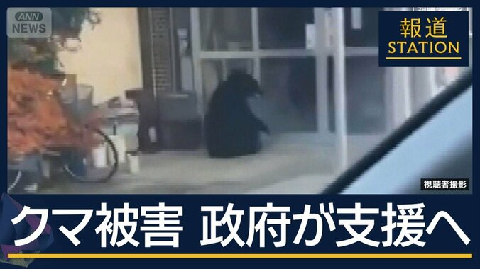 猟友会ハンター襲われる事態も…広がる“クマ被害”政府が支援へ 1枚目