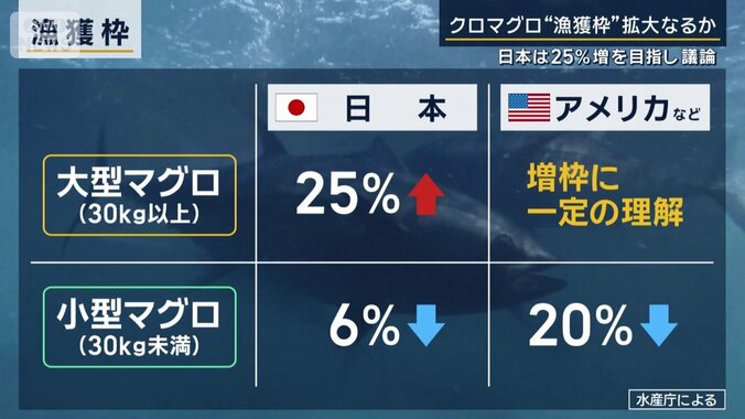 漁獲枠