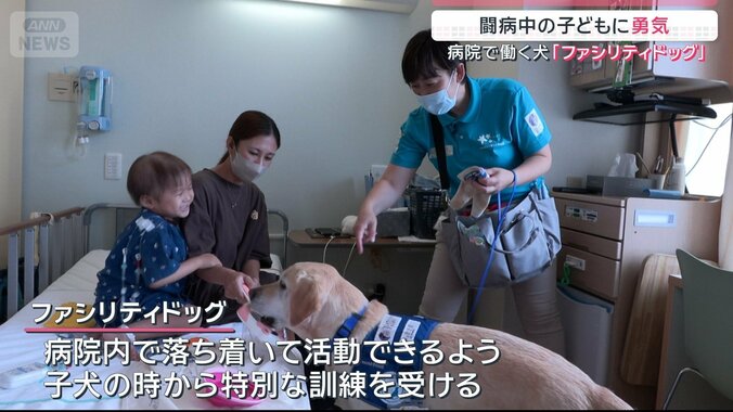 ファシリティドッグ