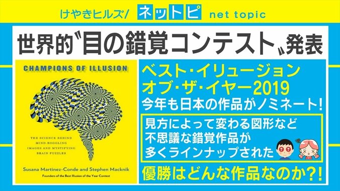 日本人が2位にランクイン！ “ベスト・オブ目の錯覚”を決める「ベスト・イリュージョン・オブ・ザ・イヤー2019」発表 1枚目