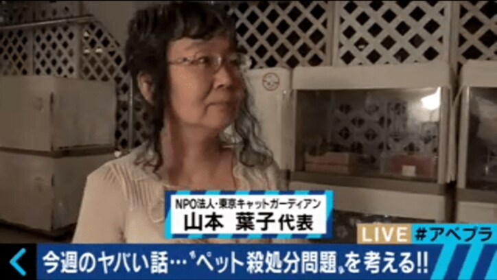 杉本彩、命の尊さを問う ペット殺処分問題に「抜本的な改革が必要」