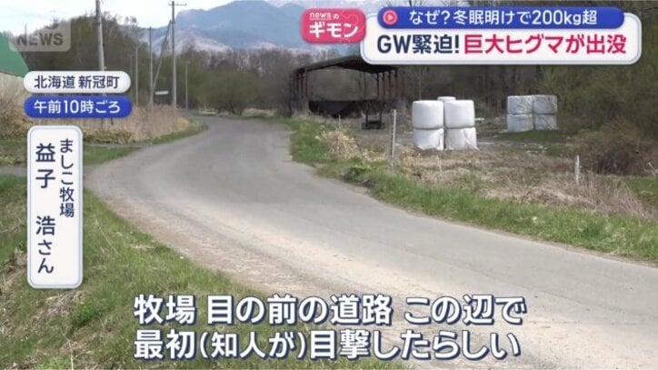 牧場の牛小屋につながる道路