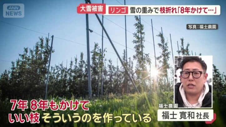 「7年、8年もかけていい枝を作っている」