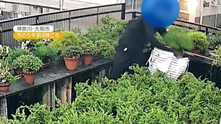 迷いのない手つきで次々と…
