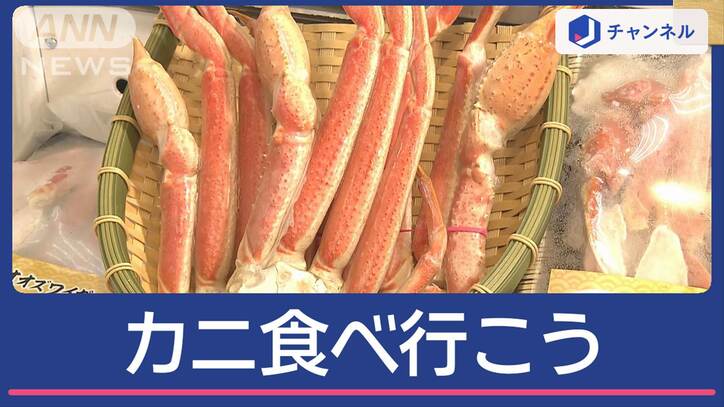 冬の味覚カニ　今年の狙い目は？