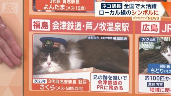 「さくら」が3代目の名誉駅長に就任
