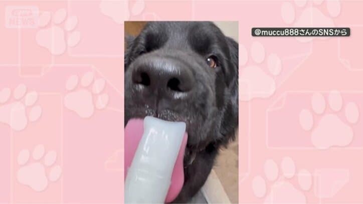 おやつ、おいしい