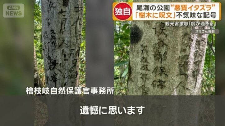 樹木への落書きについて管理事務所は…
