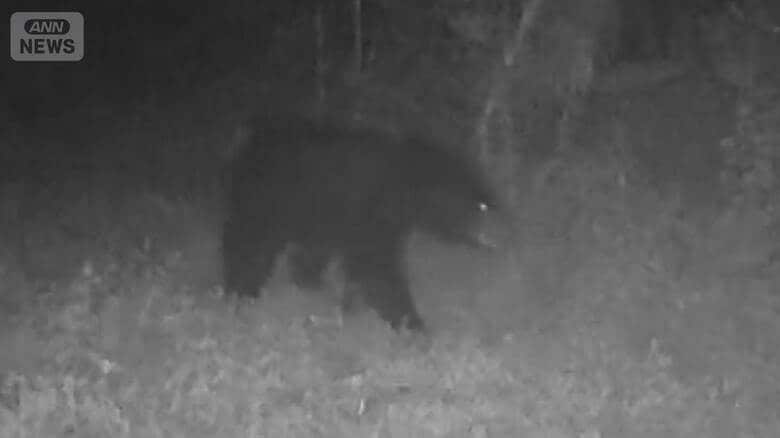 東京・八王子に体長１ｍ超のクマ出没 　光と音・１万ボルトで“撃退”最新技術の実力