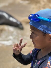 市川海老蔵『ハワイアンモンクシール』