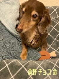 桑野信義&MASA『『 月曜日はウンジャラゲ〜♫ 』』