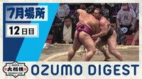 【映像】12連勝を飾った白鵬と照ノ富士