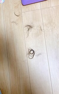 尾形あい『これは事件。パニック。』