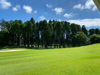 ニッチェ 近藤くみこ『ハマり中です！』