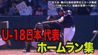 【映像】U-18侍HR集