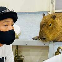 ココリコ遠藤嫁『横浜で』