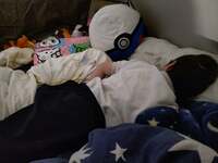 山田花子『入れて失敗した』