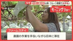 農園で手伝いながら日本に滞在する「ファームステイ」　海外から応募殺到