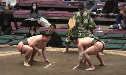 力士の耳がすごいことに「餃子にもほどがある」と話題 細“マッチョ”力士の意外な特徴にファン注目