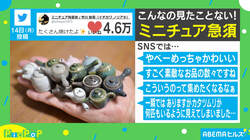 手のひらいっぱいの“ミニチュア急須”に反響！ ミニろくろ開発者の陶芸家を取材